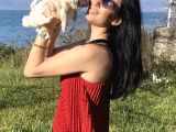 Maltese Yavrularım Sağlık Ve Irk Garantilidir