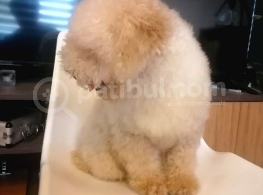Yakışıklı Oğlumuz görsel