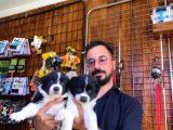 Dunyani̇n En Zeki̇ Irki Border Collie