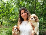 Asi̇l Zari̇f Cavali̇er Ki̇ng Charles