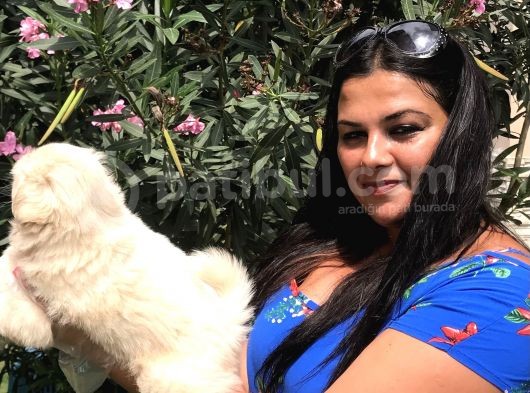 Safkan Pekinez  Yavrularımız görsel