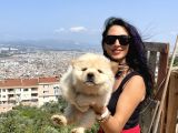 Chowchow yavrularım sağlık ve ırk garantilidir