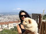 Chowchow Yavrularım Sağlık Ve Irk Garantilidir