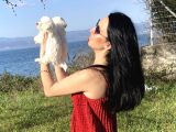 Maltese Yavrularım Sağlık Ve Irk Garantilidir