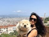 Chowchow Yavrularım Sağlık Ve Irk Garantilidir