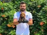 Yumuşacik Tüylü Malti̇poo Bebekler