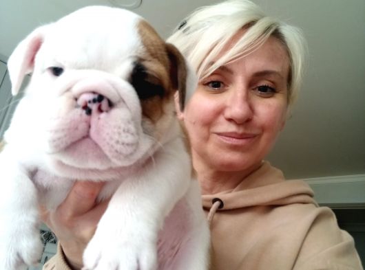 Pamuk Gibi English Bulldog Bebekler görsel