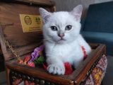 bEŞ KARDEŞ YENİ AİLELERİNİ BEKLİYOR