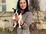 French buldog yavrularım sağlık ve ırk garantilidir