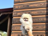 Birbirinden Güzel Bebeklerimiz