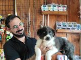 Dunyani̇n En Zeki̇ Irki Border Collie