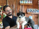 Dunyani̇n En Zeki̇ Irki Border Collie