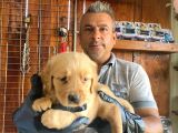 Mükemmel kalitede golden bebekler için acele edin
