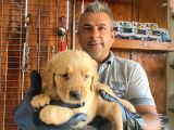 Mükemmel Kalitede Golden Bebekler Için Acele Edin