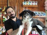 Dunyani̇n En Zeki̇ Irki Border Collie