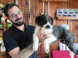 Dunyani̇n En Zeki̇ Irki Border Collie