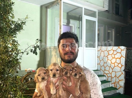 Sizde Ailemize Katılın görsel
