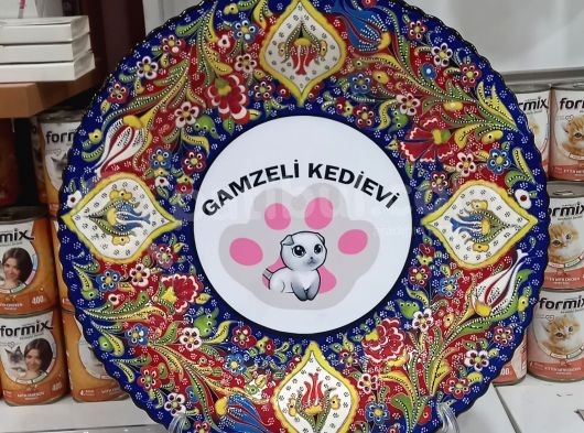 Siyam Yavrularımız Evinizin Neşesi Olacaktır görsel