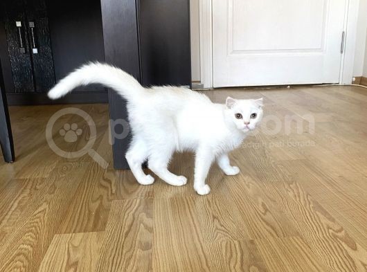 Fazla Yakışıklı Straight Oğlumuz görsel