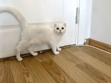 Fazla Yakışıklı Straight Oğlumuz