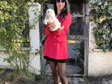 Maltese Yavrularım Sağlık Ve Irk Garantilidir