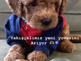 Bizim çocukları görmeden karar vermeyin