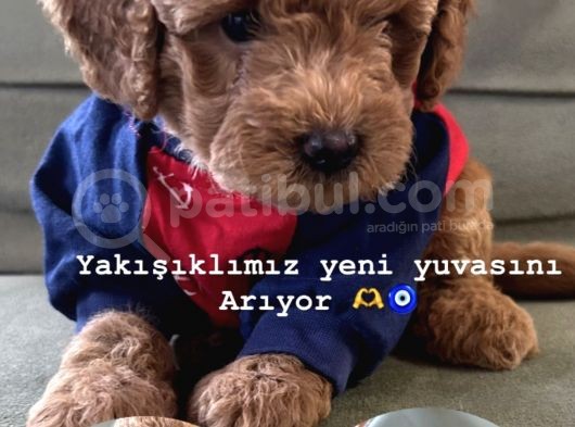 Bizim Çocukları Görmeden Karar Vermeyin