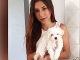 Safkan Maltese Ev Yavrularimiz