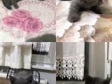 British Shorthair Yavrularımız
