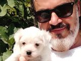 En Uygun Maltese Teri̇er Yavrulari̇