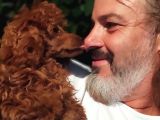 Mi̇nyatür Uygun Fi̇yat Poodle Yavrular