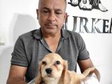 Mükemmel Kalitede Cocker Bebekler Için Acele Edin