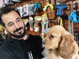 Muhteşem Ameri̇kan Cocker Yavrularimiz