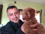 Safkan Poodle Yavruları Burkemden