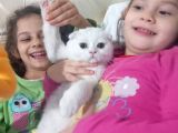 2buçuk aylık erkek