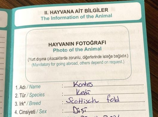 Kızımızı Özel Sebeplerden Dolayı Sahiplendireceğiz görsel