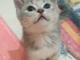 Güzeller güzeli prens ve prenseslerim