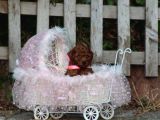 Bakanlık Onaylı Yetiştiriciden Orjinal Toy Poodle Yavrular