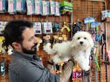 Bembeyaz Maltese Terri̇er 0 Numara