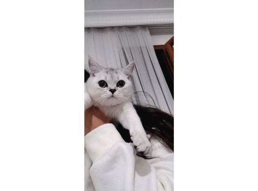 Tatlı Prenses Kızımız