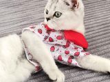 Tatlı Prenses Kızımız