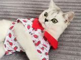 Tatlı Prenses Kızımız