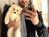 Kif-Fci Şecereli̇ En İyi̇ Kali̇te Samoyed Bebekler