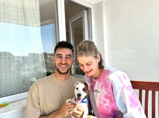İzmir Jack Russel 6 Aylık Aşıları Tam Iş Nedeniyle Vermek Istiyorum görsel