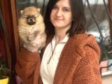 Pomeranian Boo Bebeklerimiz