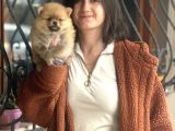 Pomeranian boo bebeklerimiz