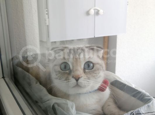 Güzel Kızımız görsel