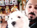 BEMBEYAZ MALTESE TERRİER 0 NUMARA