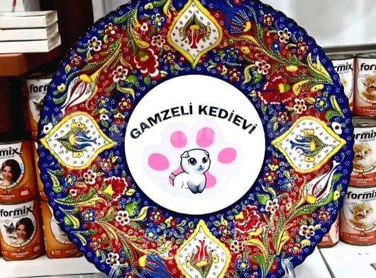 Çi̇n Aslani Chow Chow Yavrularimiz Evi̇ni̇zi̇n Neşesi̇ Olacaktir görsel