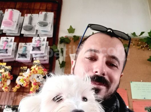 Bembeyaz 6 Aylik Maltese Terri̇er 0 Numara görsel